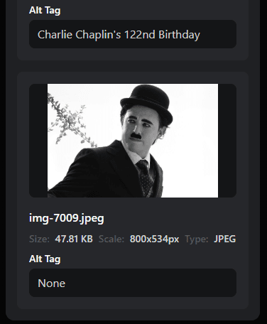 Inspect image info and alt tags